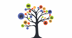 sistema privacy relazione con norme iso 9000